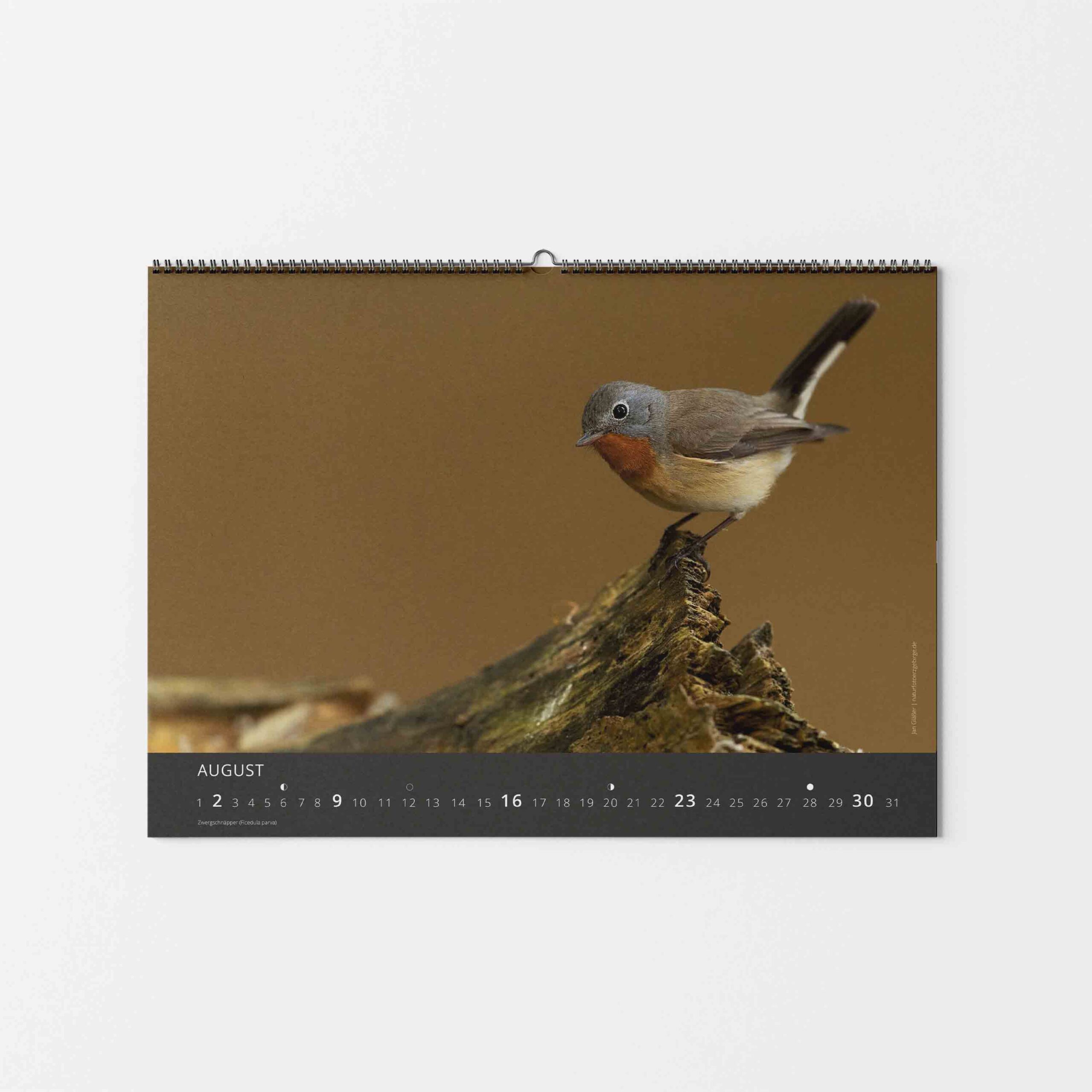 Kalender Tierwelt Erzgebirge 2026 – Bild 11