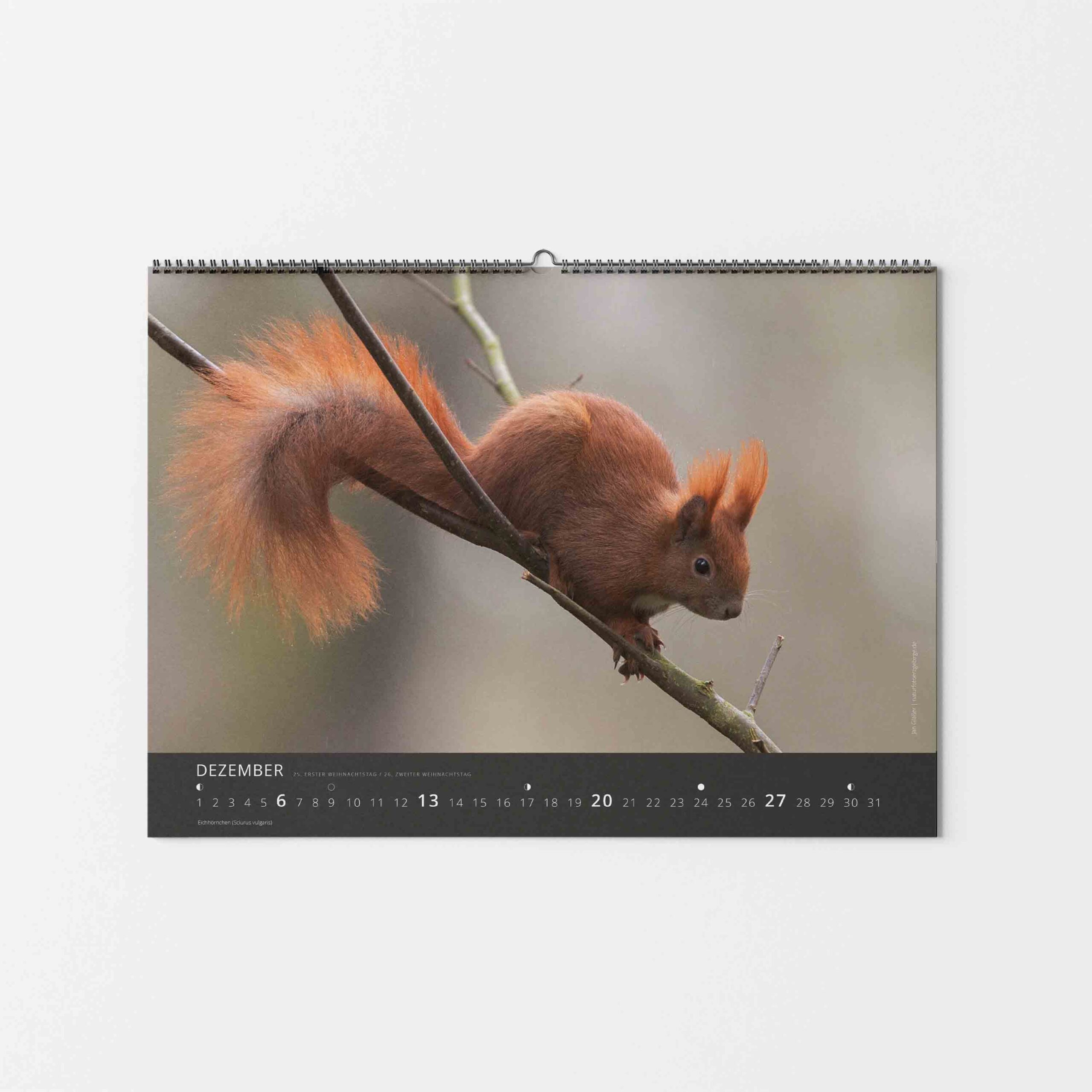 Kalender Tierwelt Erzgebirge 2026 – Bild 10